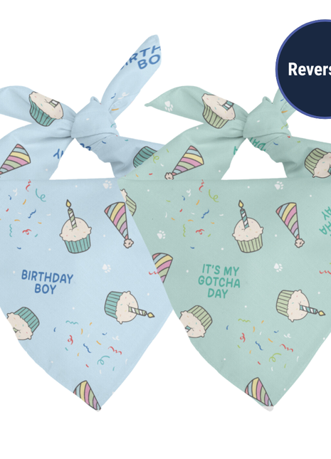 Birthday Boy & Gotcha Day Dog Bandana