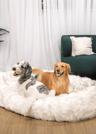 PupCloud™ Human-Size Faux Fur Memory Foam Dog Bed - White with Brown Accents