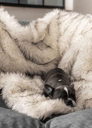 PupProtector™ Waterproof Throw Blanket - White with Brown Accents