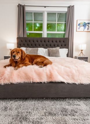 PupProtector™ Waterproof Throw Blanket - Blush Pink