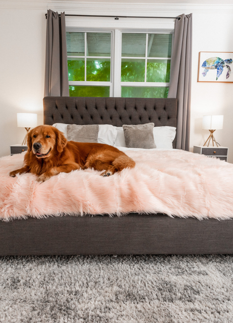 PupProtector™ Waterproof Throw Blanket - Blush Pink