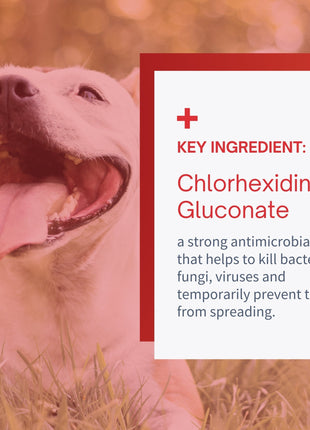 Chlorhexidine Medicated Flush for Dogs & Cats - 4oz
