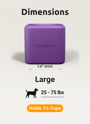 Freezbox - Super Tough Treat Toy