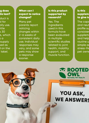 Joint & Muscle Health (Cats & Small Dogs) - Pup List