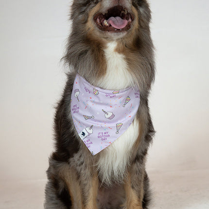 Birthday Girl & Gotcha Day Dog Bandana