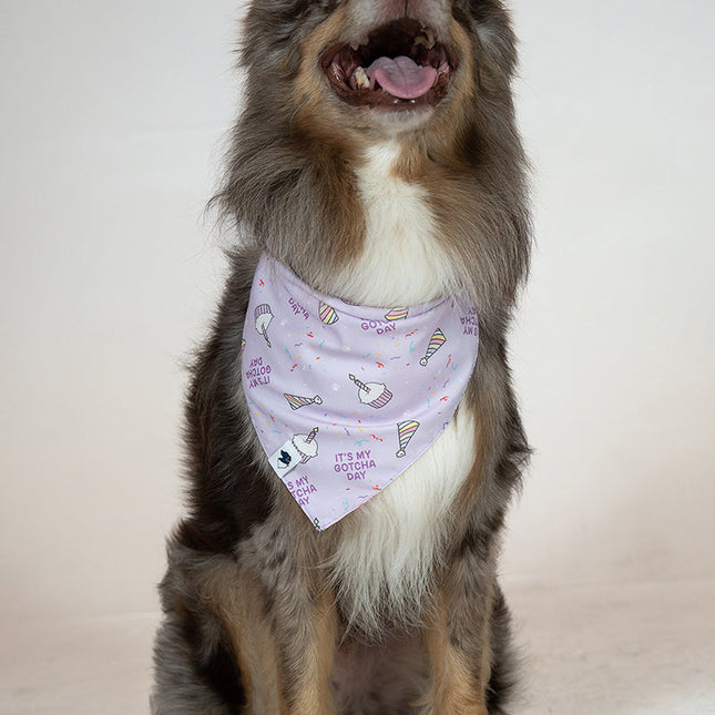 Birthday Girl & Gotcha Day Dog Bandana