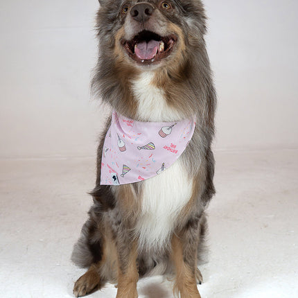 Birthday Girl & Gotcha Day Dog Bandana