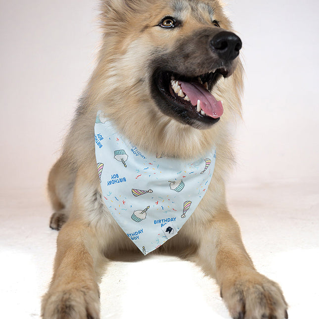Birthday Boy & Gotcha Day Dog Bandana