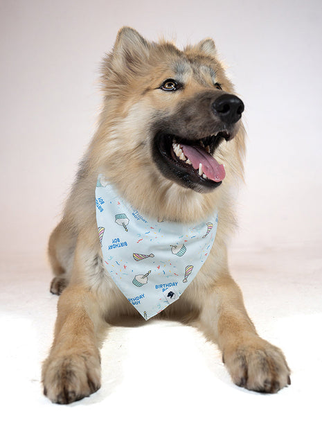 Birthday Boy & Gotcha Day Dog Bandana