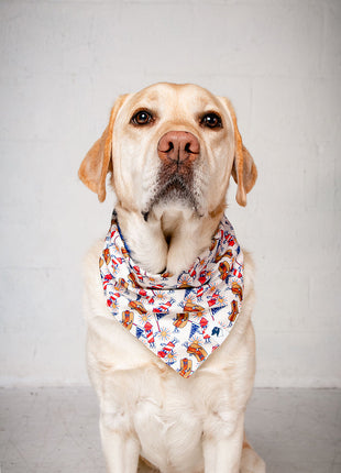American Summer Dog Bandana & Matching Scrunchie Set