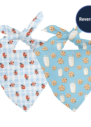 Buster's Bandana