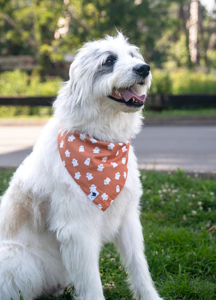 Mummy & Ghost Dog Bandana