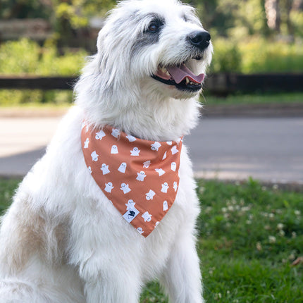 Mummy & Ghost Dog Bandana