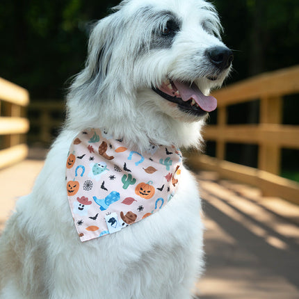 It's Fall Y'all Dog Bandana
