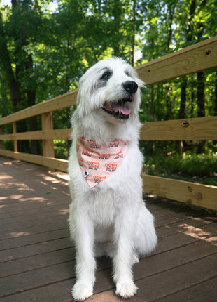 Everyone Is Thankful Dog Bandana