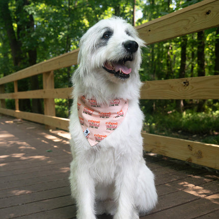 Everyone Is Thankful Dog Bandana
