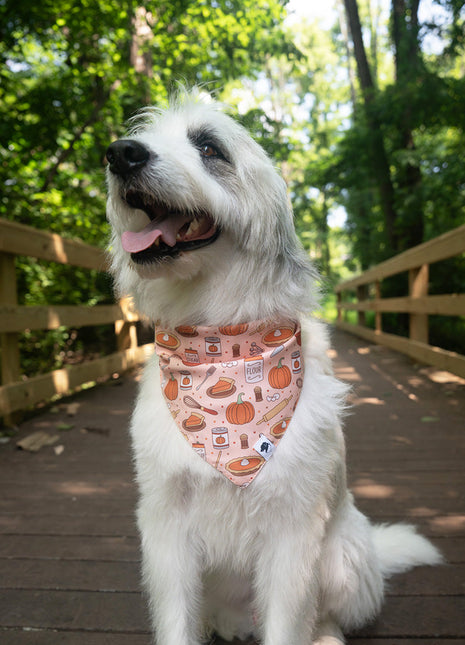 Everyone Is Thankful Dog Bandana