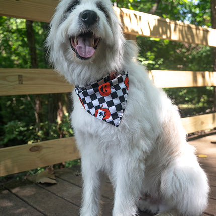 Halloween Plaid Dog Bandana