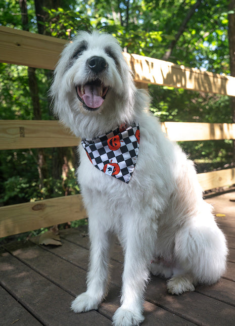 Halloween Plaid Dog Bandana