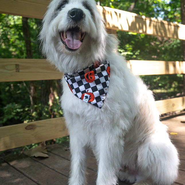 Halloween Plaid Dog Bandana