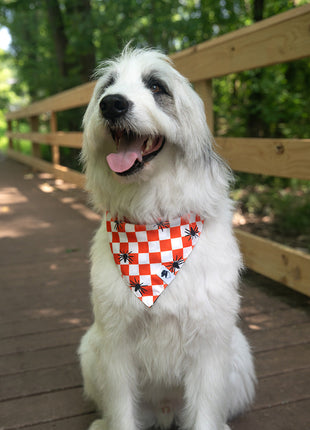 Halloween Plaid Dog Bandana