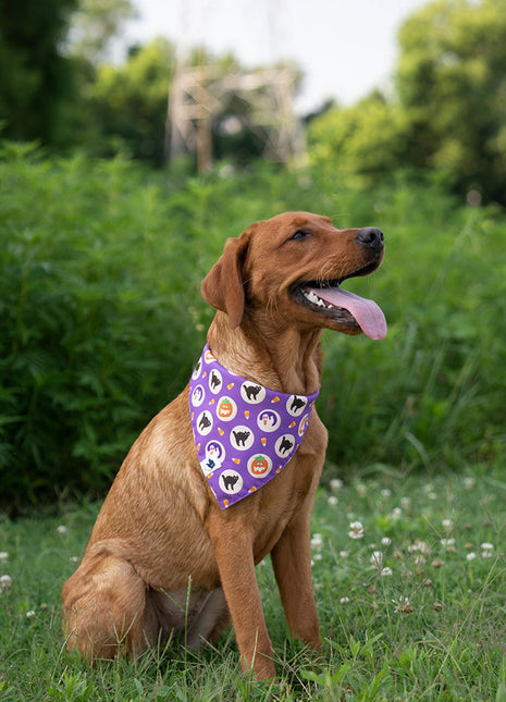 Fall Cookie Dog Bandana