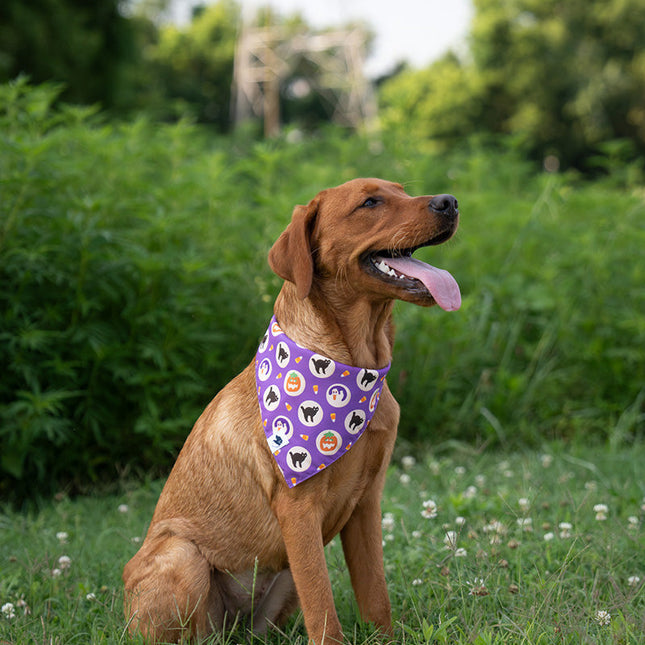 Fall Cookie Dog Bandana