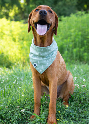 Camping & Smores Dog Bandana
