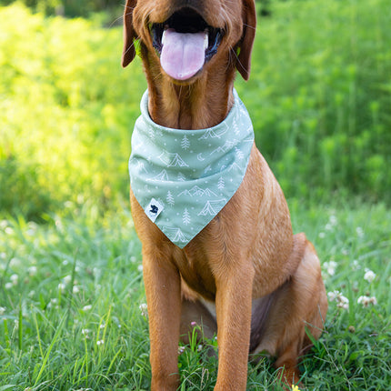 Camping & Smores Dog Bandana