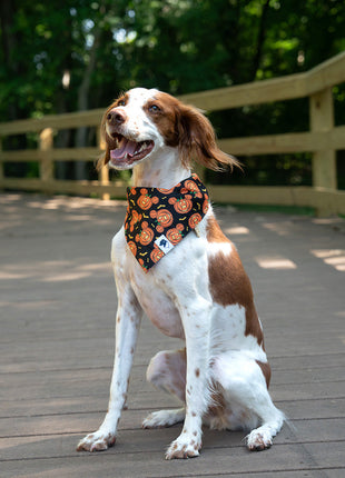 Fall Cookie Dog Bandana