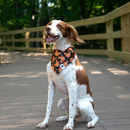 Fall Cookie Dog Bandana