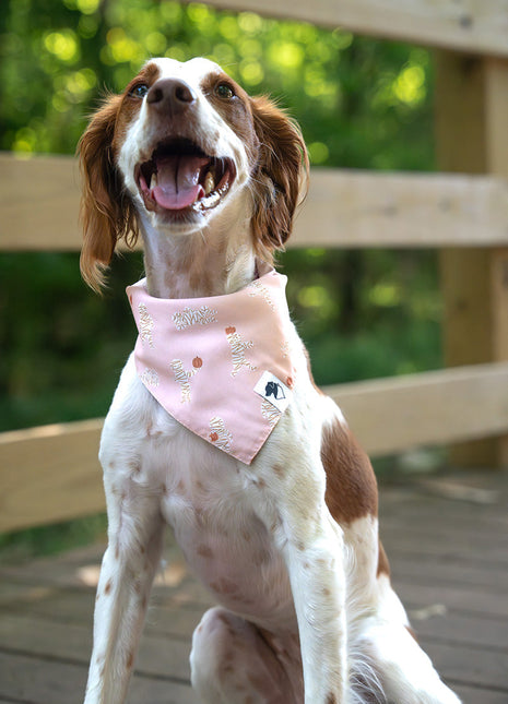 Mummy & Ghost Dog Bandana