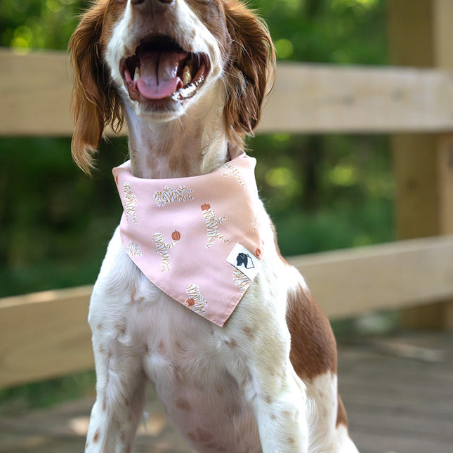 Mummy & Ghost Dog Bandana