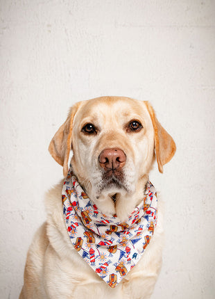 American Summer Dog Bandana & Matching Scrunchie Set