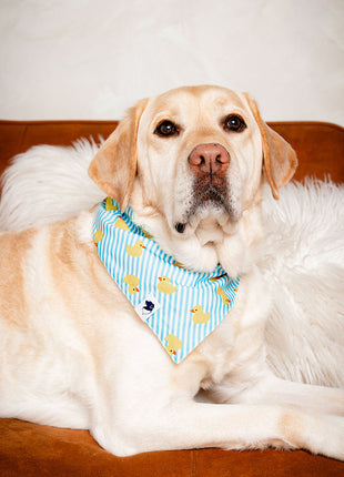 Sunny Side Dog Bandana