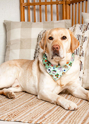 Farmers Market Dog Bandana
