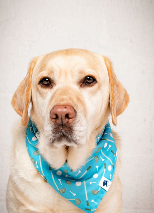 Tee Time Dog Bandana