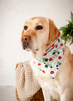 Farmers Market Dog Bandana