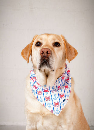 Coastal Charm Dog Bandana
