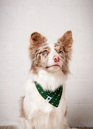 Tee Time Dog Bandana