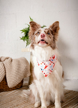 Coastal Charm Dog Bandana