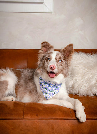 Lavender Dog Bandana