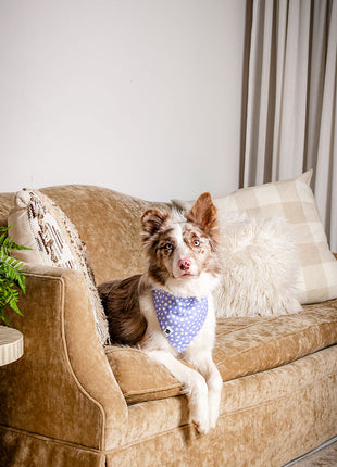 Lavender Dog Bandana