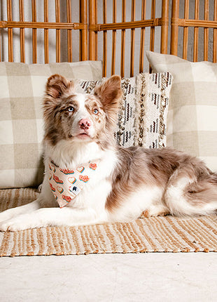 Love Wins Dog Bandana