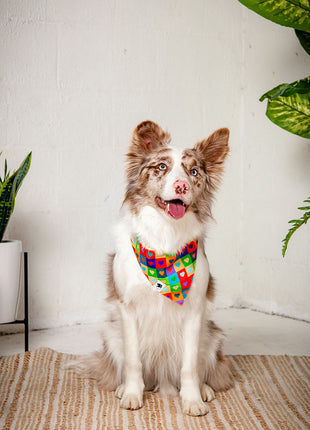 Love Wins Dog Bandana