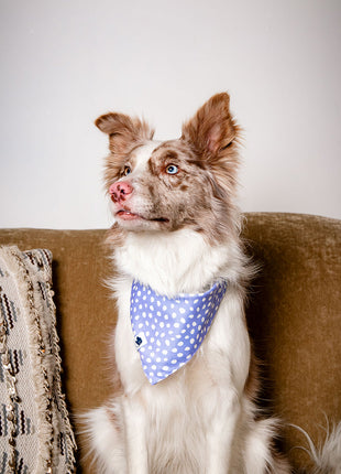 Lavender Dog Bandana
