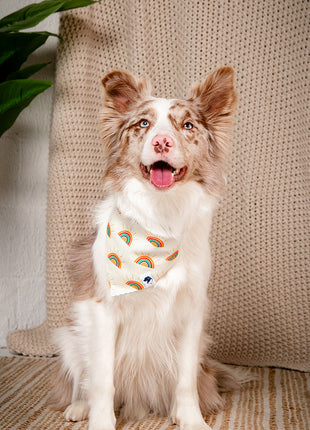Sunny Side Dog Bandana