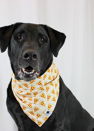 Pizza & Food Dog Bandana