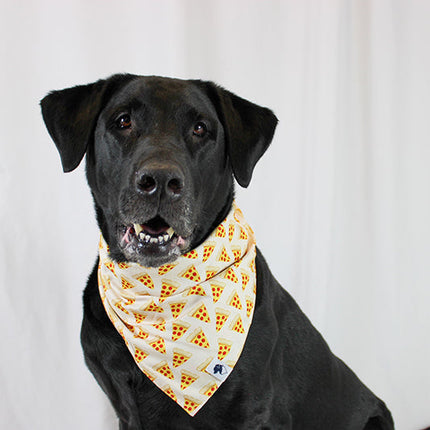 Pizza & Food Dog Bandana
