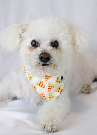 Pizza & Food Dog Bandana